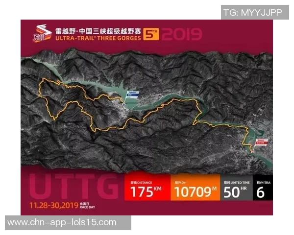 成都篮球队选拔赛背后的拼搏故事与奋斗历程全景回顾